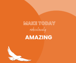 Make today ridiculously amazing.